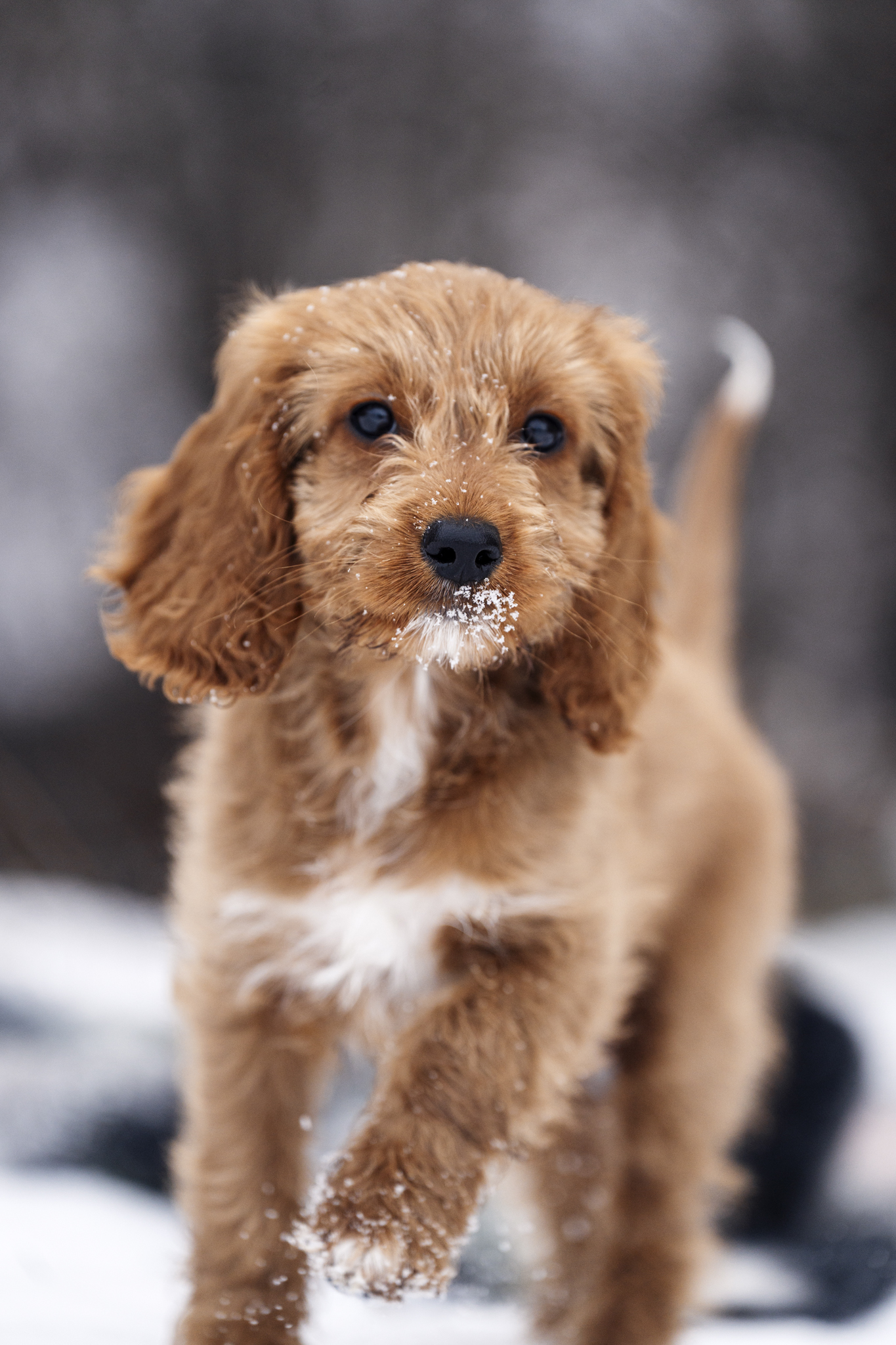 _LBP0147_b_website