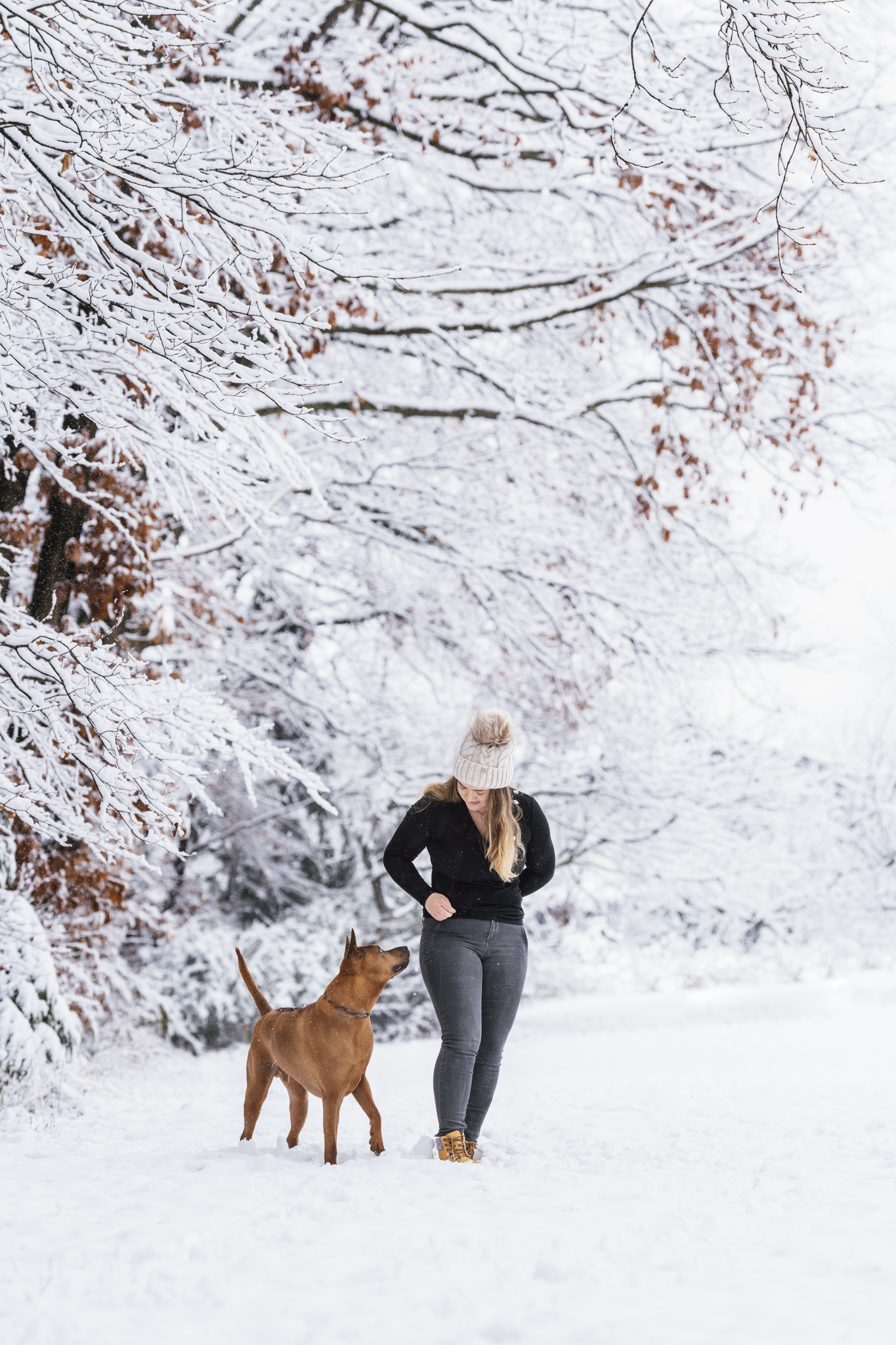 _LBP0503_b_website