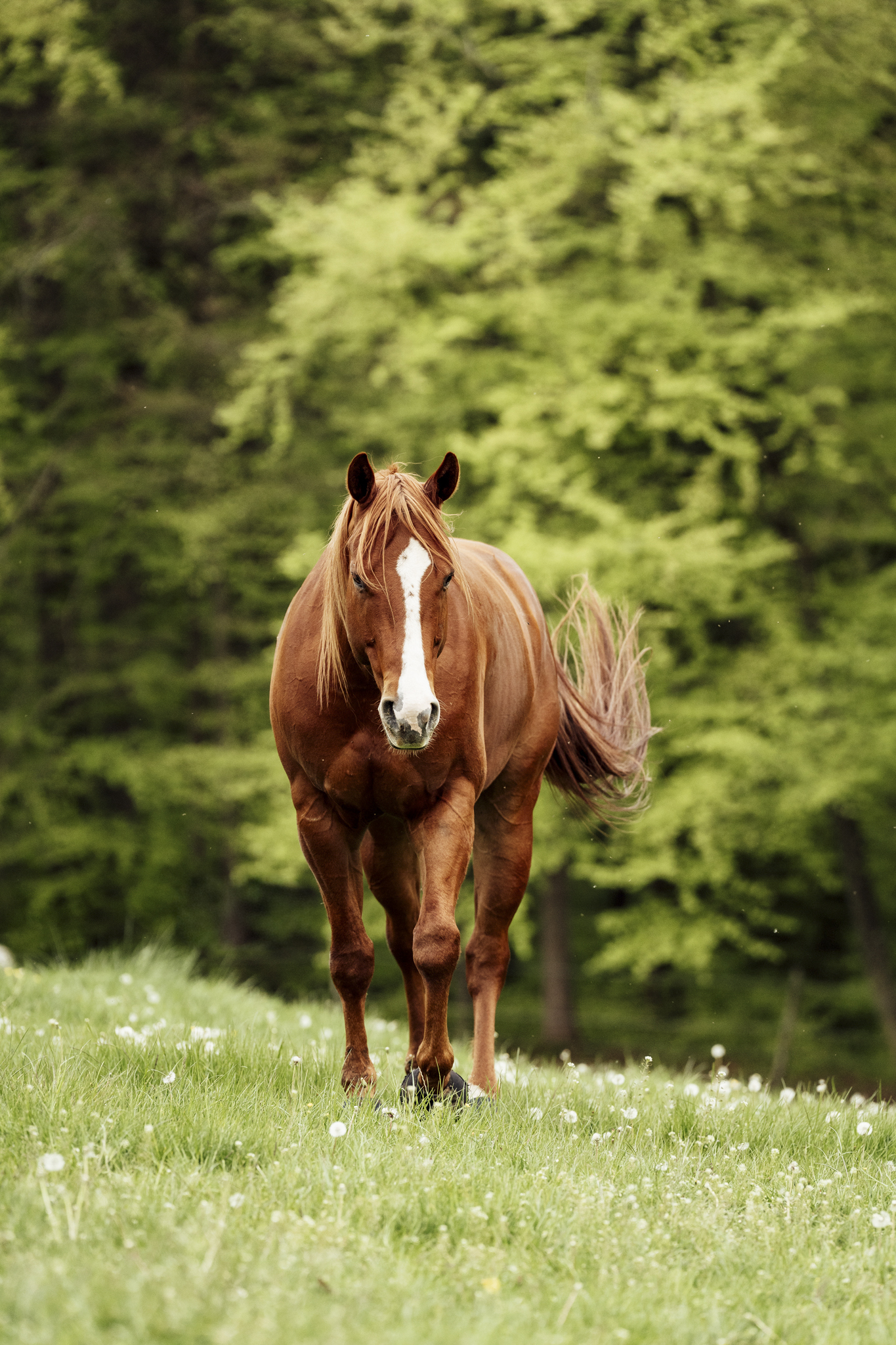 _LBP1615_web_website