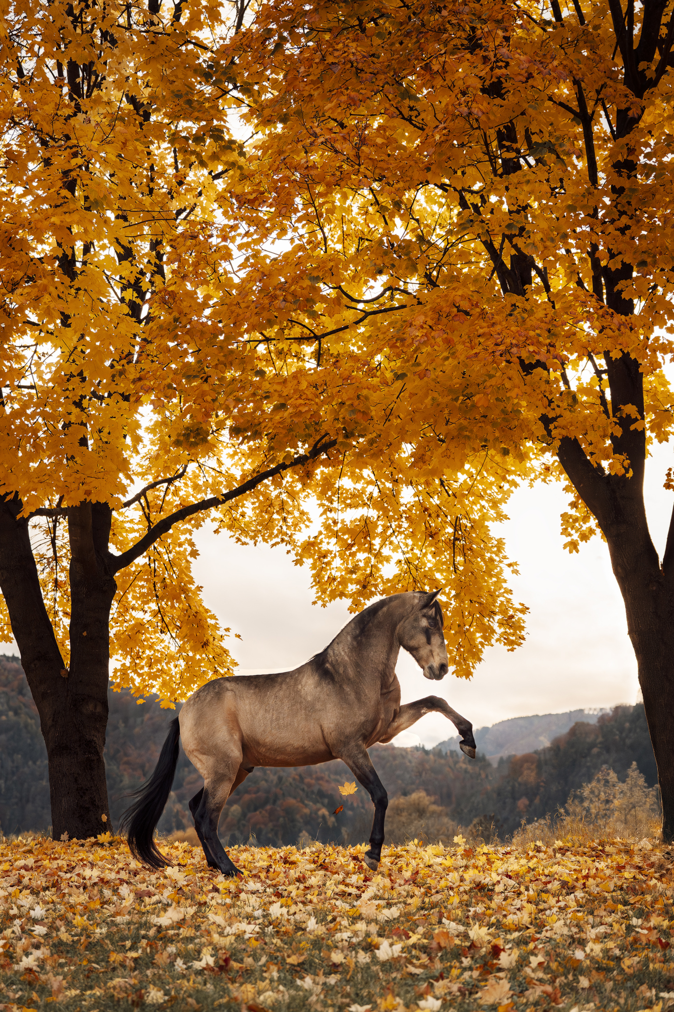 _LBP7948_b_website